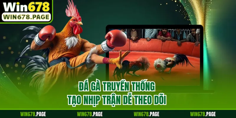 Đá gà truyền thống tạo nhịp trận dễ theo dõi